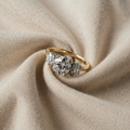 Gold Earth Ring
