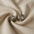Vintage Gold and Silver Earrings with Blue Crystals