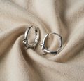 Valuable Dachshund Earrings - A Treasure for Dog Mums