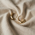 Oval Gold and Silver Earrings