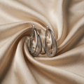 Luxurious cubic zirconia mesh white gold Earrings