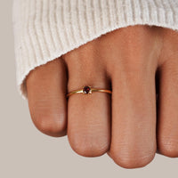 January – Red Garnet