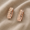 Creative Hollow Polished Earrings